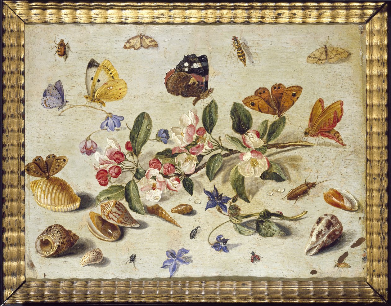 a-study-of-flowers-and-insects-by-jan-van-kessel-the-elder
